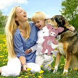 Squeaky Dog Toys Puppy Sniff Training Toy Bite-resistant Pet Chew Toys Interactive Training Toys For Small Medium Large Breed