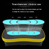Vibration hine Platform Massager Body Remote Exercise Fiess Equipment 220V 200W