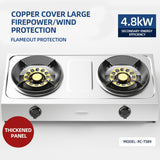 Household Strong Fire Stainless Steel Double Gas Stove - Desktop for Kitchen