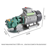 WCB-75 Self-Priming Portable Cast Iron Temperature Electric Gear 750W Small High Viscosity Oil Pump 220V
