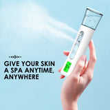 Double Spray-head Nano Facial Steamer Test Mist Cleaning Pores Water SPA Hydrating Cooler Face Sprayer Skin Care