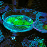 Aquarium water magnifying glass, seawater coral fish tank observation mirror, aquarium viewing device Marine Coral