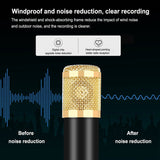 Condenser USB Microphone Audio Dynamic System Kit Cantilever Bracket Anti-Spray Net Set Sound Record