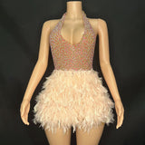 Pink Luxury Elegance, Spectacle, Small Diamond Skirt, Feather Adult Dress, Party Evening Dress