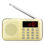 Retekness PR-11 2-Band Insert Card Radio - AM FM & MP3 - F9210J