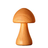 Tri color LED mushroom touch sensor, USB adjustable night light, portable head light with rechargeable battery