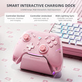 HE G5Pro Max Gaming Controller With Charging Dock RGB Wireless Gamepad Hall Effect Joystick Trigger For Switch PC Phone