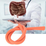 38mm Unisex Portable Colon Tube Vaginal Cleaning Pipe Accessory Anal Enema Nozzle Silicone Nozzles Anus Plug