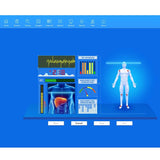 New Version 54 Reports Quantum Resonance Magnetic Body Health Detector/Analyzer For Sub-Health Test Bioresonance Body Scanner