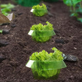 5/10/15/20 Pcs Reusable Slug Plant Collars Snail Protection Rings for Protects Plants To Get Better