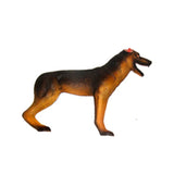 Dog Puzzle Assembling Toy Animal Biology Organ Anatomical Veterinarian Teaching Model
