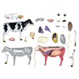 Animal Organ 4D Cow Intelligence Assembg Toy Teaching Anatomy Model DIY Popular Science Appliances