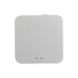 Roman Rod Control Smart Curtain Robot