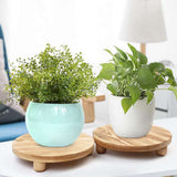 Round Wood Board Pot Flower Pedestal Riser Holder for Indoor Outdoor Display