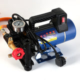 Agricultural Electric High Pressure Pump Spraying Watering Car Wash Irrigation Double Cyder Piston 12V/24V/48V/60V/220V