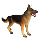 Dog Puzzle Assembling Toy Animal Biology Organ Anatomical Veterinarian Teaching Model