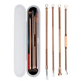 Needle Set Of Stainless Steel Beauty Tools In Addition To Blackheads Fat Particles And Acne Home Use 4 Pcs