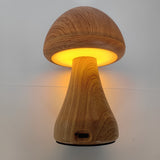 Tri color LED mushroom touch sensor, USB adjustable night light, portable head light with rechargeable battery
