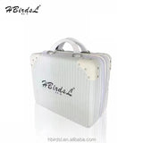 Health Care Instrument body DDS Bio Electric Device Bioelectric Therapy Massager red light therapy hine
