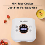 Advanced Multifunctional Electric Multicooker for 1-3 People - 2L Capacity