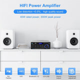 AK45/AK35 800W Home Power Amplifier 2 Channel Bluetooth 5.0 Mini Hifi Digital Stereo Sound Amplifier Support FM USB SD Mic input