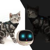 Personal Cat Pet RF-V47 Mini Pets 2G GSM Best Dog GPS Tracker with Free APP Waterproof IP67