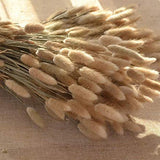 100 Stems Natural Dried Bunny Rabbit Tail Grass, Small Pampas Grass For Boho Decor, Wedding Bouquets