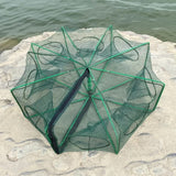 Strengthened 6-20 Holes Automatic Net Shrimp Cage Nylon Foldable Crab Fish Trap Nets Cast Folding Fishing Network