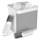 Karaoke Machine, Portable Bluetooth PA System With 2 Wireless Microphones, Family Gathering, Meeting, Picnic