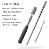 3PCS Telescoping Collapsible Straw Travel Work Out Stainless Steel Key Chain