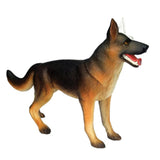 Animal Organ 4D Dog Intelligence Assembling Toy Teaching Anatomy Model DIY Appliances