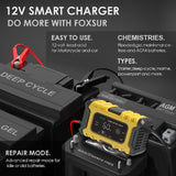 FOXSUR Fully Automatic 12V/6A Pulse Repair Maintenance LCD Display Smart Car Battery Charger for Gel Lead Acid