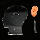 Ear Model Ear Display Mould Flexible Waterproof Silicone Soft for Hospital