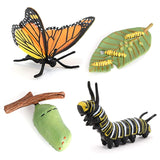 New Butterfly Life Board Set Lifestyle Stages Kids Teaching Tools Animal Growth Cycle Educational Toys