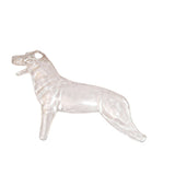 Dog Puzzle Assembling Toy Animal Biology Organ Anatomical Veterinarian Teaching Model