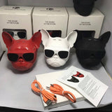 Bluetooth Wireless Speaker Fashion Bulldog Head Design Touche HIFI Bass Speaker
