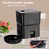 3L Timing Smart Automatic Pet Feeder For Cats Button Intelligent Dry Food Dispenser Dog Bowl