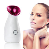 Mist Steaming Hot And Cold Double Spray Sprayer Humidification Face Steamer Home Facial Spa