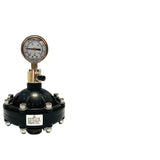 UPVC/PVC damper diaphragm pulsation buffer DN15/20/25/32/40/50