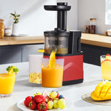 Portable Slow Masticating Juicer - Cold Press Extractor with Two Speed Modes, Juice Maker