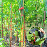 Lightweight Plant Tying hine Bind Tomatoes Grapes Effortless, Including Spare SK5 Blade, Tapes And Staples Easy To Use