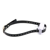 Pet wireless electronic fence