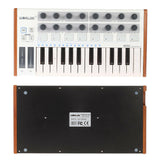Worlde Midi Controller Keyboard Musical Instrument Digital Piano 25 Note Velocity-Sensi Keyboard Midi Keyboard Controller