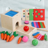 6-In-1 Wooden Montessori Kit Object Permanence Play Set With Coin Box Carrot Harvest Shape Sorter Ball Drop Toy Durable