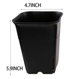 12PCS-Pack Square Plastic Succulent for Plant Flowers Cactus, Etc., Black Nursery Flower Pot