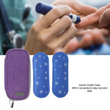 Pack Insu Coog Case with 2 Ice Pac Portable Cooler Insulation Bag for Outdoor Travel