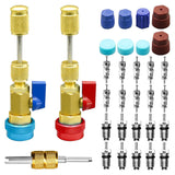 31 PCS Remover Installer Set High/Low-Pressure Quick Removal Tool with R134A Vae Core