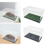 Football Dustproof Oval Ball Holder Acrylic Display Case for Souvenir Art Craft Collectibles Figures Volleyball