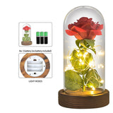 Eternal Rose Flower In Glass Dome With LED Light Wooden Base Valentine Christmas Gifts For Women