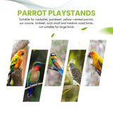 Parrots Playground,Natural Wooden Parrot Perch Gym Stand Parakeet Ladders With Feeder Cups And Toys Exercise Play